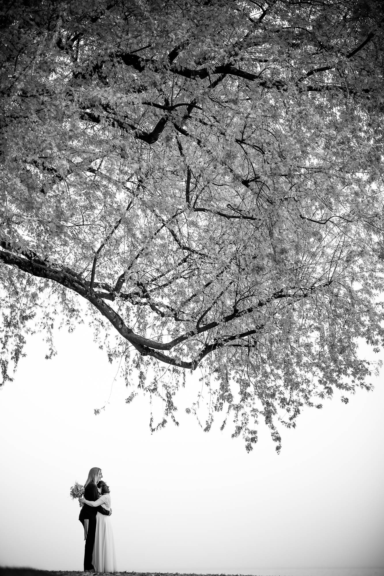 Export x3 1DX29378 Hochzeit 2020 Monika & Sharru 3